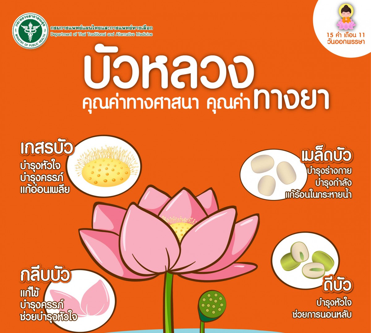 แพทย์แผนไทยเผยสรรพคุณบัวหลวงดอกไม้ถวายพระช่วยดูแลสุขภาพ