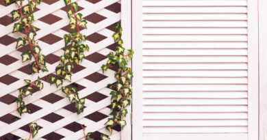 ระแนงบังตา